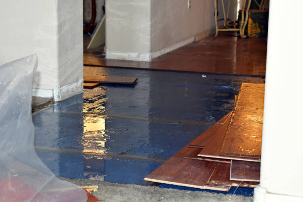 Professional Burst Pipe Cleanup technician working in Manchester, NH